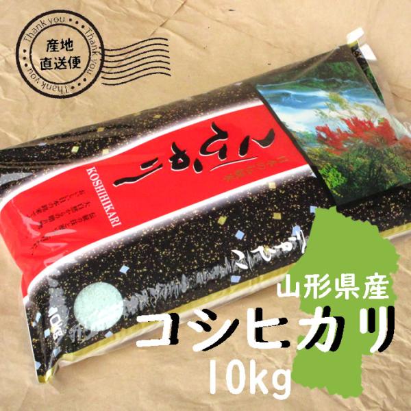 やまがたの米 山形県産　コシヒカリ一等米　10kg 3月16日精米したてです コシヒカリ お米 10kg 白米 山形県 10kg×1袋 7年度産 新米