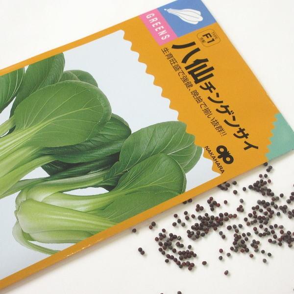 野菜の種/種子 八仙チンゲンサイ 1袋 3mL