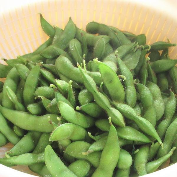 野菜の種 種子えぞにしき枝豆1袋40ml Buyee Buyee 提供一站式最全面最專業現地yahoo Japan拍賣代bid代拍代購服務bot Online