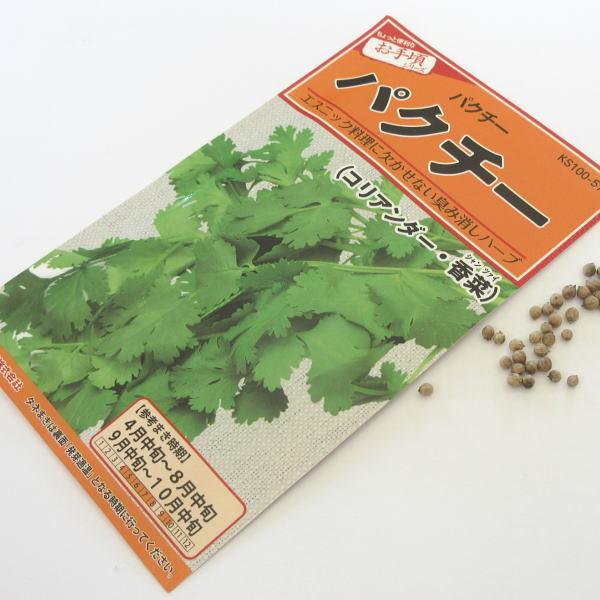 ひし型 パクチーの種95粒 通販 コリアンダー ※送料込み