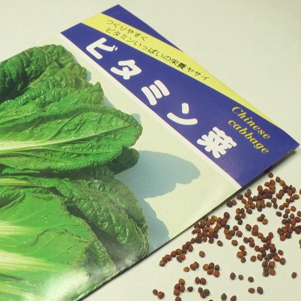 野菜の種 種子 ビタミン菜 1袋 3ml Tanehamonob 庄内米産直店 土門商店yahoo 店 通販 Yahoo ショッピング