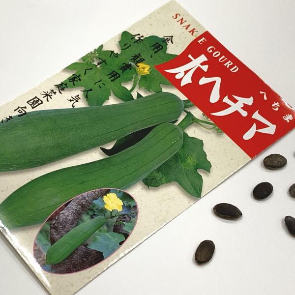 野菜の種 種子 太へちま 1袋 10粒 Tanehechima 庄内米産直店 土門商店yahoo 店 通販 Yahoo ショッピング