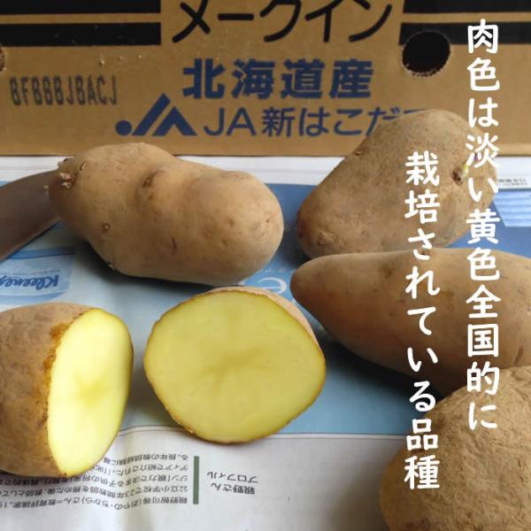 野菜 種 苗 春じゃがいも種芋 メークイン 馬鈴薯種芋 1kg Taneimome Ku 庄内米産直店 土門商店yahoo 店 通販 Yahoo ショッピング