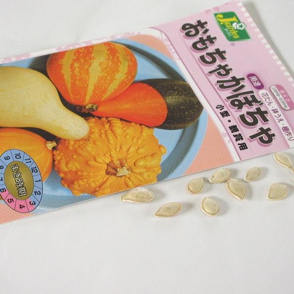 野菜の種 種子 おもちゃ南瓜 観賞用 1袋 1 5ml Tanekabocyao 庄内米産直店 土門商店yahoo 店 通販 Yahoo ショッピング