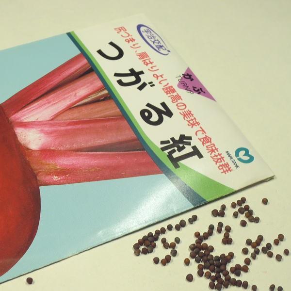 野菜の種/種子 つがる紅かぶ 1袋 3mL