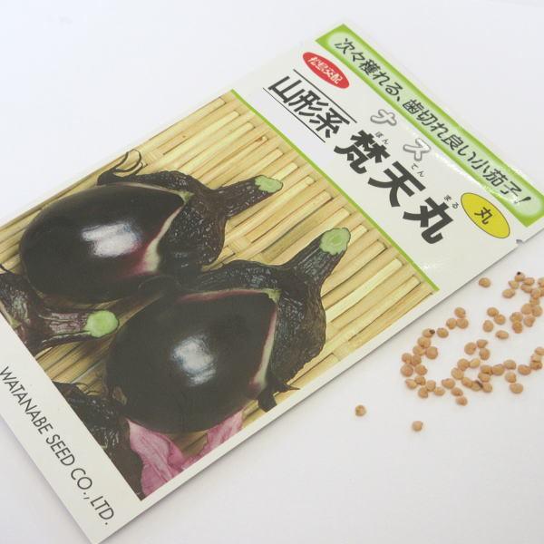 野菜の種 種子 梵天丸なす 山形系 松島交配 1袋 0 7ml Tanenasub 庄内米産直店 土門商店yahoo 店 通販 Yahoo ショッピング
