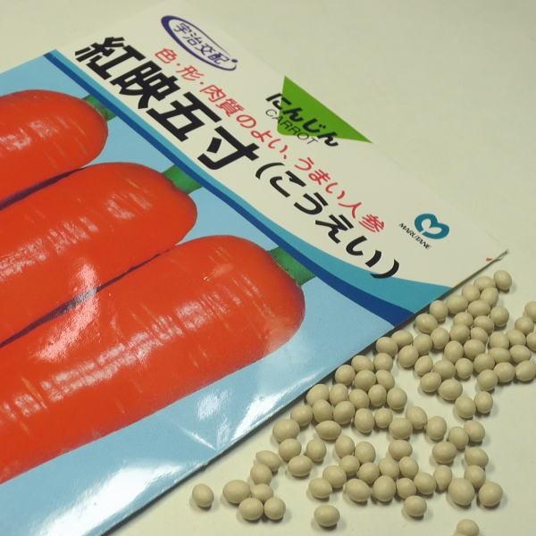 野菜の種/種子 紅映五寸人参 宇治交配 コート種子 1袋 10mL