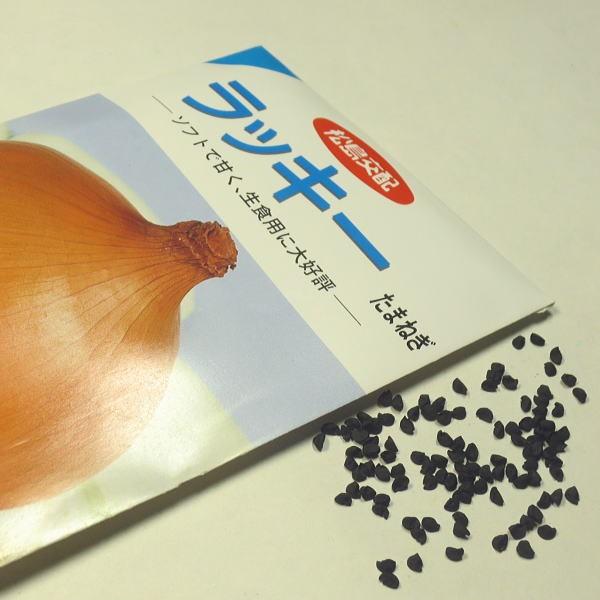 野菜の種/種子 ラッキー玉葱 松島交配 1袋 3mL