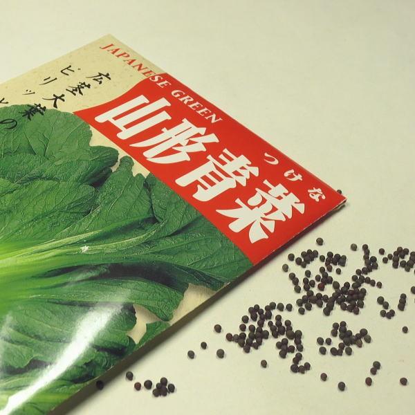 野菜の種/種子 山形青菜 1袋 3mL