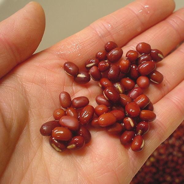 遺伝子組み換えの心配のない、純粋な国産１００％の小豆です。たっぷり水を含ませた後に水から小豆を出さないようにコトコト煮込む事で、ぽってり甘い小豆が出来上がります。  準備の都合により、数日お時間をいただく場合がございます。出来るだけ速やかに...