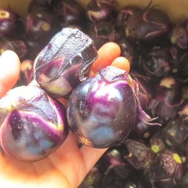 丸小なす 漬け物用 2kg 山形県産 クール便 Tokusnasumaru 庄内米産直店 土門商店yahoo 店 通販 Yahoo ショッピング