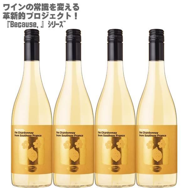 rR[Y AC Vhl t TEU tX 750ml×S{