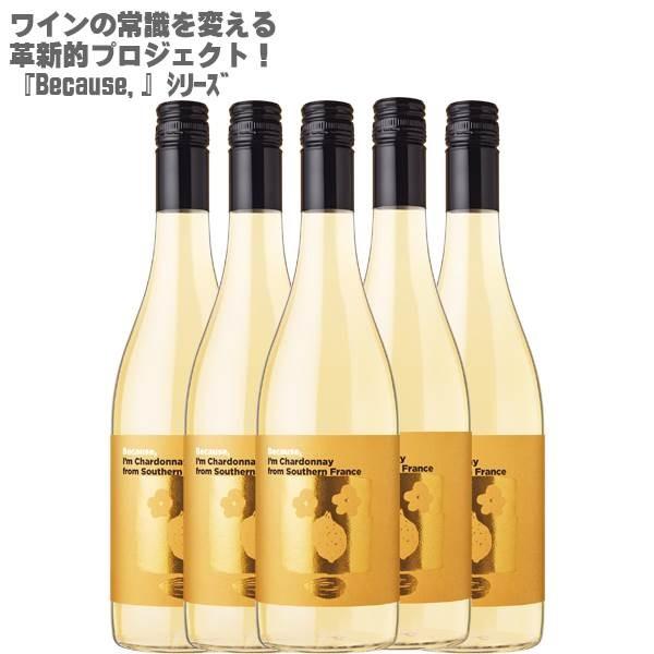 rR[Y AC Vhl t TEU tX 750ml×T{