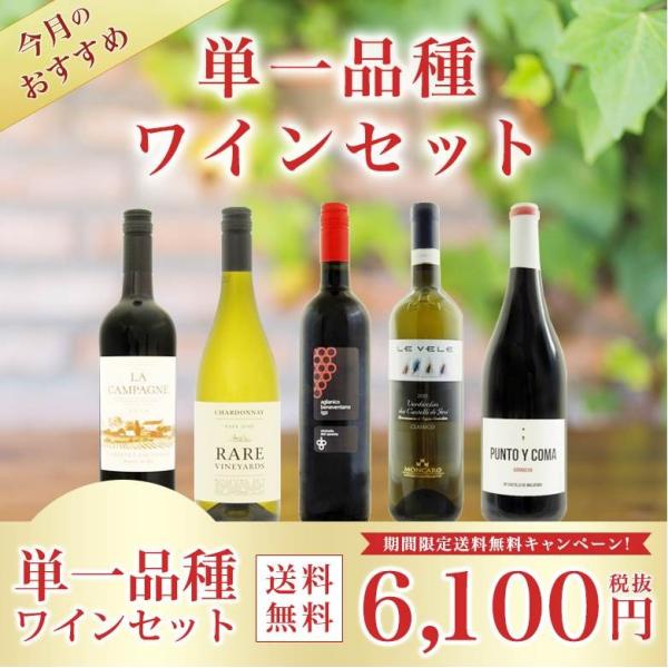 今月のおすすめ単一品種ワイン5本セット ラ カンパーニュ