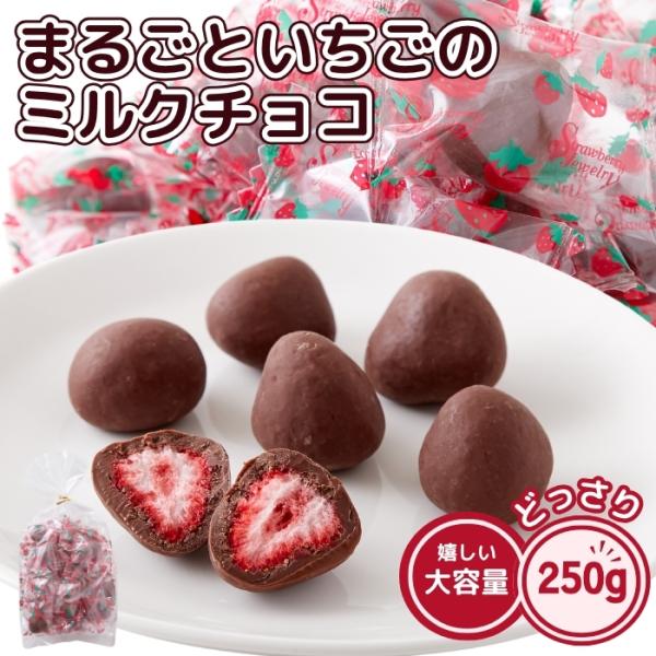 まるごといちごの ミルクチョコ 250g 約25個 濃厚 チョコレート 苺 いちご イチゴ ストロベリー フリーズドライ スイーツ 個包装 お徳用 大容量 送料無料