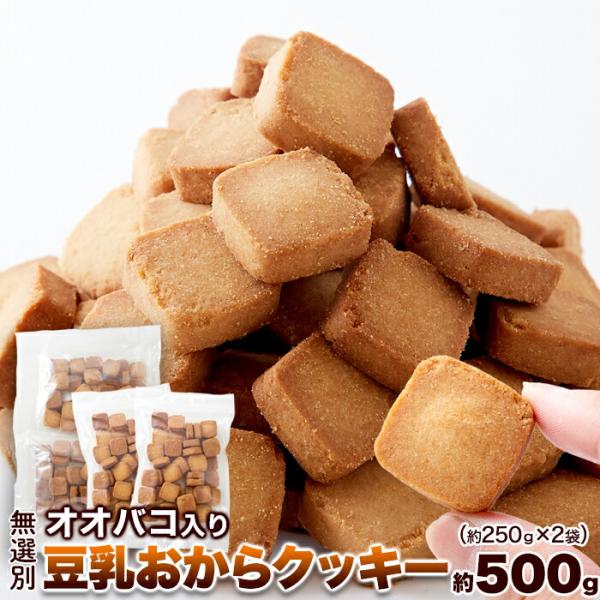 オオバコ入り豆乳おからクッキー 500g 満腹感 食物繊維 おやつ こんにゃく オオバコ種皮末 硬め グルテンフリー スイーツ レビュー特典付き