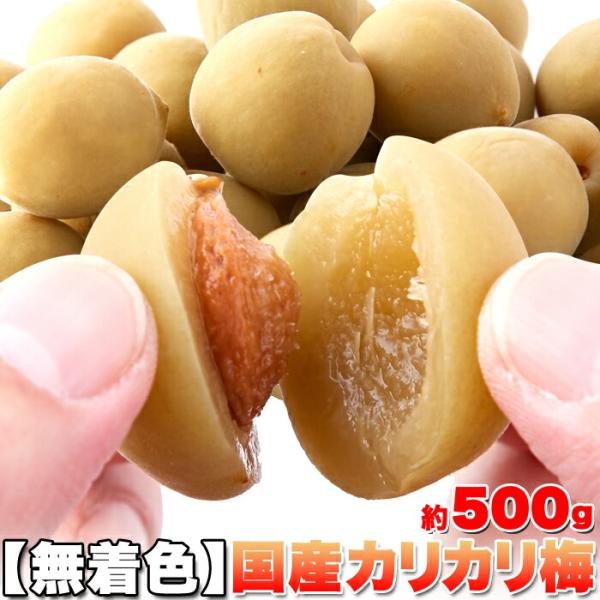 don-store_4908325102446