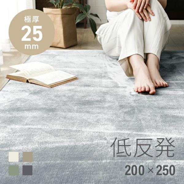 MODERN DECO ラグ 低反発 洗える 200×250 3畳 極厚 25mm 防ダニ