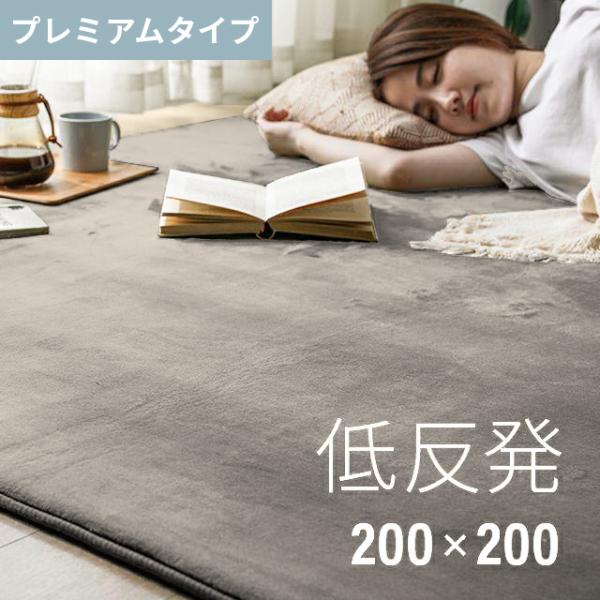 【送料について】無料【保証】3ヵ月保証【カラー】アンティークホワイト、アイスグレー、グレージュ【サイズ】200×200cm 【材質】ポリエステル、ウレタン【特徴】 フランネル生地低反発ウレタン防音性能ゼロホルム抗菌・防臭効果滑り止め付きホッ...