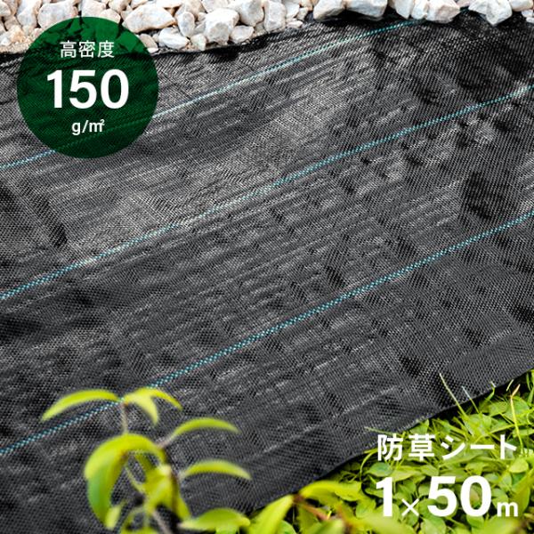 防草シート 雑草防止シート 固定ピン100本雑草成長を抑制 1mx  50m MODERN DECO 防草シート ピン 幅1m×50m 雑草防止 除草シート 防