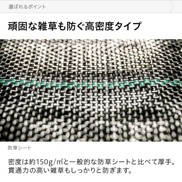 防草シート ピン 送料無料 幅2m 10m 雑草防止 除草シート 防草 シート ガーデニング 草よけシート 雑草対策 雑草シート 雑草抑制 生えない Buyee Buyee Japanese Proxy Service Buy From Japan Bot Online