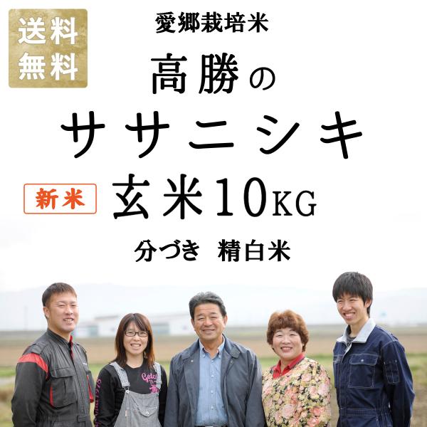 【令和5年新米】減農薬 有機肥料使用 ササニシキ 10kg 新米 令和5年産 お米 宮城県産 米 10キロ ささにしき 宮城県桃生町産 お米 玄米 分づき 精白米