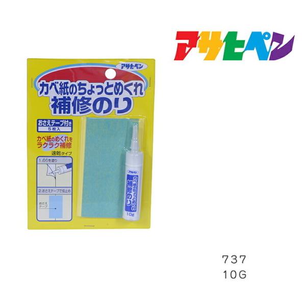 Jx̂Ƃ߂Ĉ 10g 737 ATqy ǎ