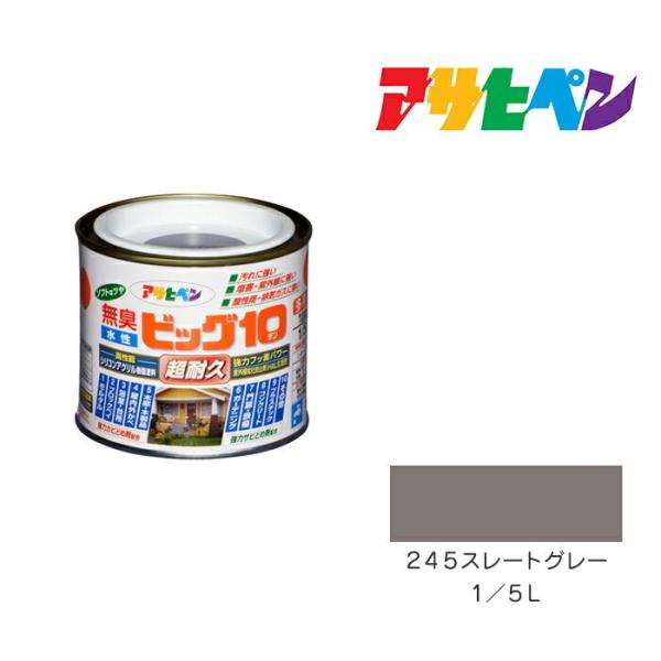 rbO10pr ATqy 245X[gO[ 1/5L h h yL