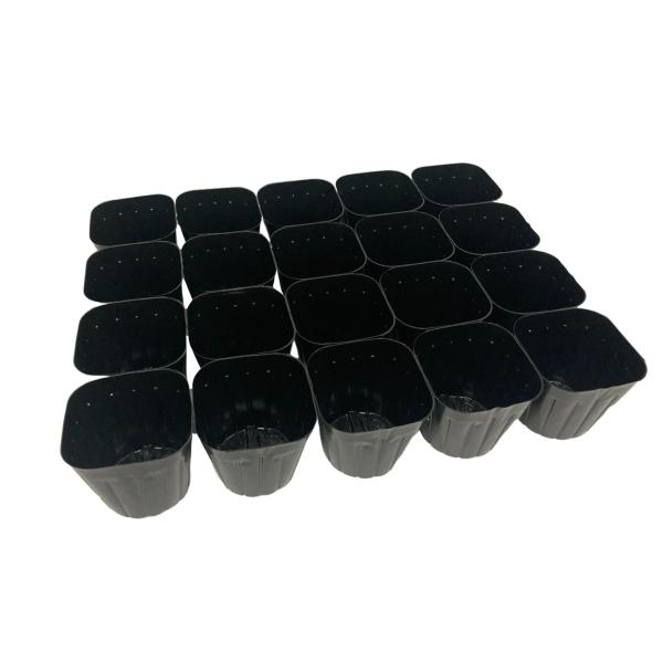 シート状にポリポットが連結しているので、作業能率が格段にアップします。ポットのシステムトレイへのトレイ入れ作業がワンタッチ！根巻き防止リブ付。簡単に切り離せる切り目入り。ポットサイズ：10.5cmポット数：20カラー：黒タキイ種苗