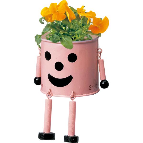 uL}|bg M 2786-B-P P[EC[EACA 񂹐A T{e