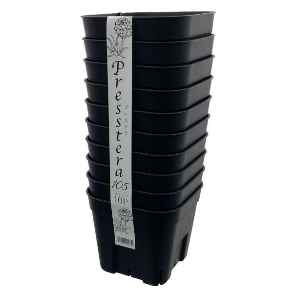 パキポディウムなどのコーデックスや多肉植物の衣装植え付けにおすすめのプレステラ鉢柔らかいビニールポットと違い、硬質ポットなので安定感があります。しっかりと自立し、植物が崩れにくく管理が容易です。8か所のスリット構造により、通気性・排水性が抜...