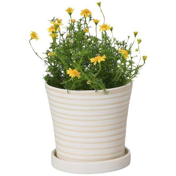 pXezxL zCg 12×H11cm H1261 Aؔ  GC`Ec[EI[