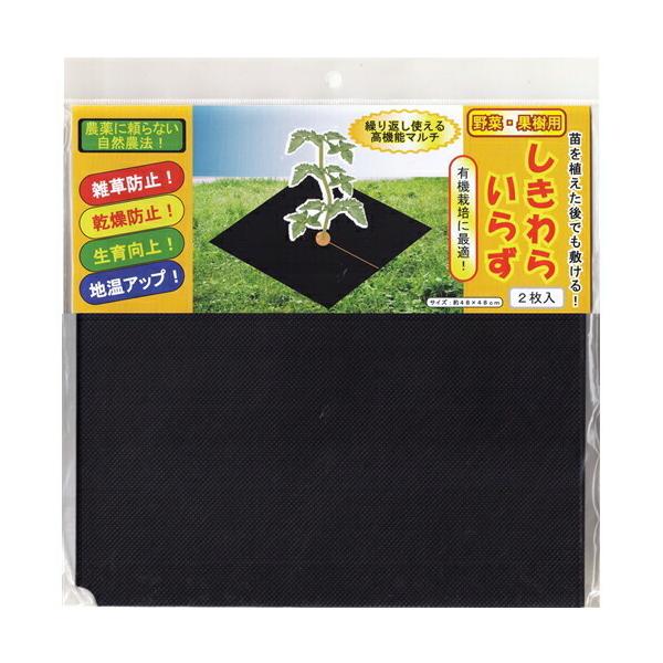 ؉ʎp 炢炸 48x48 2 tHXg ƒ؉ Gh~@悯@@xǗ