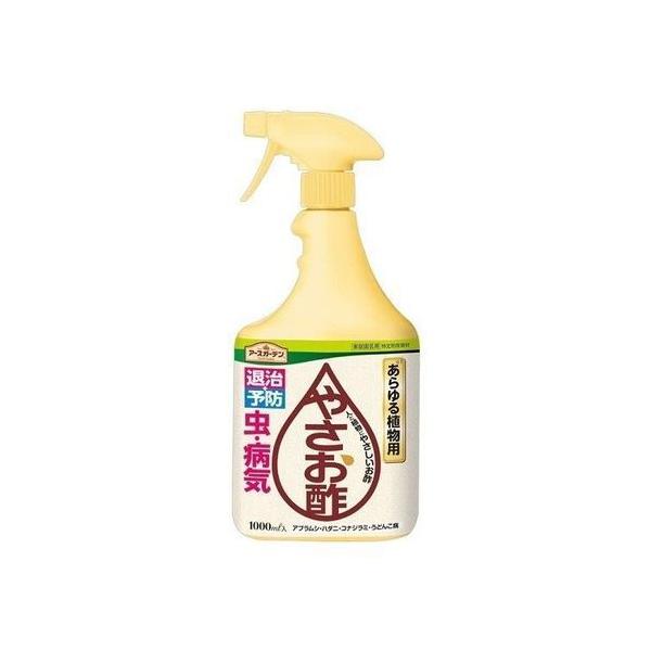 df₳|@1000ml @A[X@E܁@Eۍ܁@100̐Hi