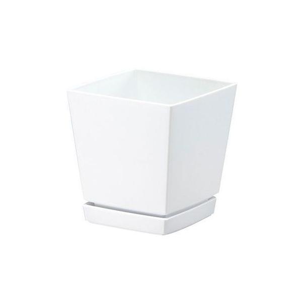 NG`[|bg v[gt zCg 4 100mm×100mm×H110mm avX`bN v^[