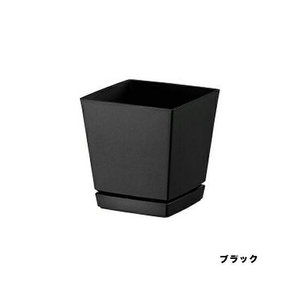 NG`[|bg v[gt ubN 4 100mm×100mm×H110mm avX`bN  v^[