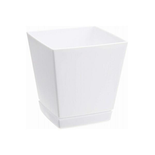 NG`[|bg v[gt 6 zCg 14×14×H15cm avX`bN   v^[