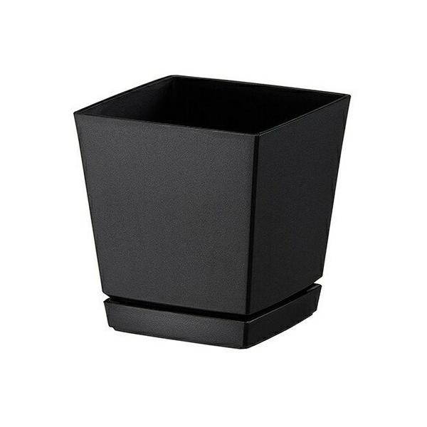 NG`[|bg v[gt 6 ubN 14×14×H15cm avX`bN   v^[