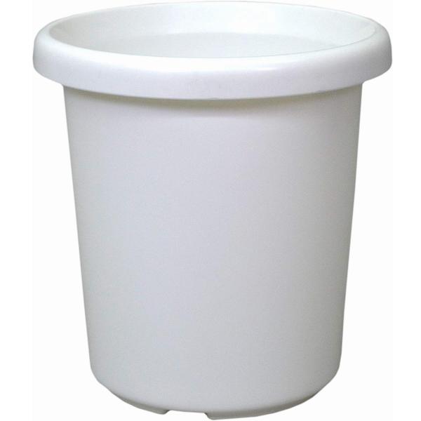 F^ 10 zCg AbvEFA[ ϗtA AKx 