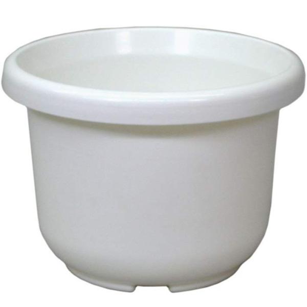 ֔F^ 5 zCg AbvEFA[ Aؔ v^[ AKx R[fbNX  ϗtA