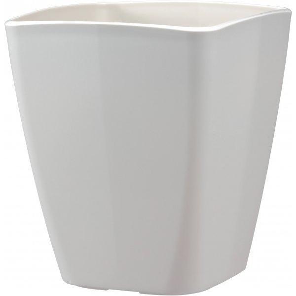 AgGXNGA 250^ zCg AbvEFA[ I[u KW}