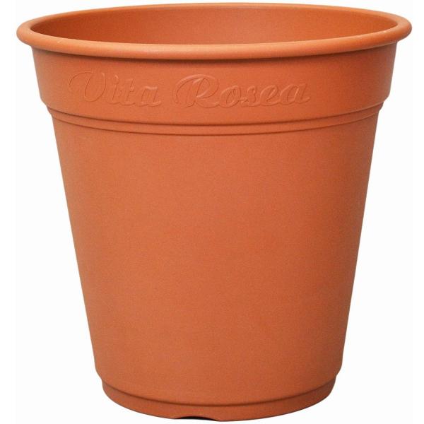 [A|bg 380^ uE AbvEFA[ [YK[f o Aؔ