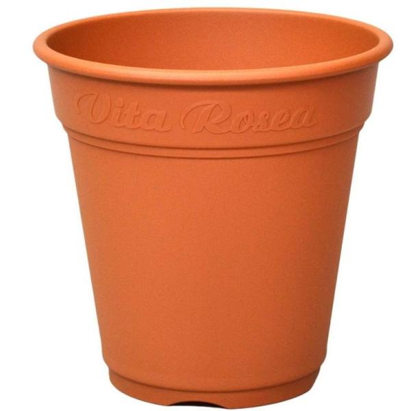 [A|bg 240^ uE AbvEFA[ [YK[f o Aؔ