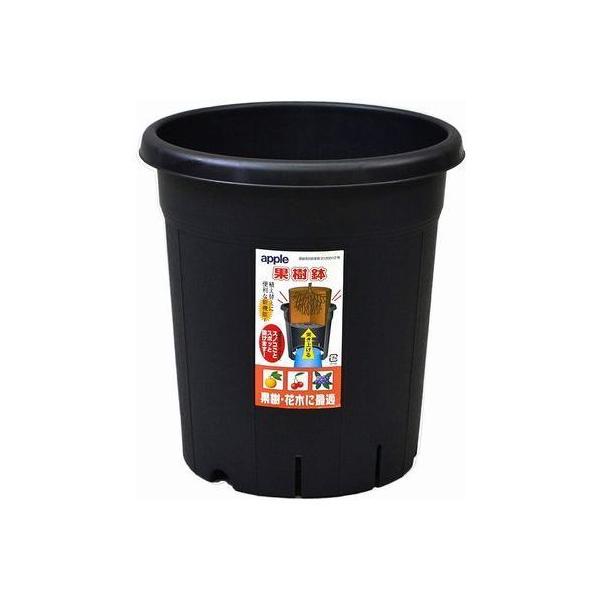 ʎ 245^AbvEFA[ubN k  ݂