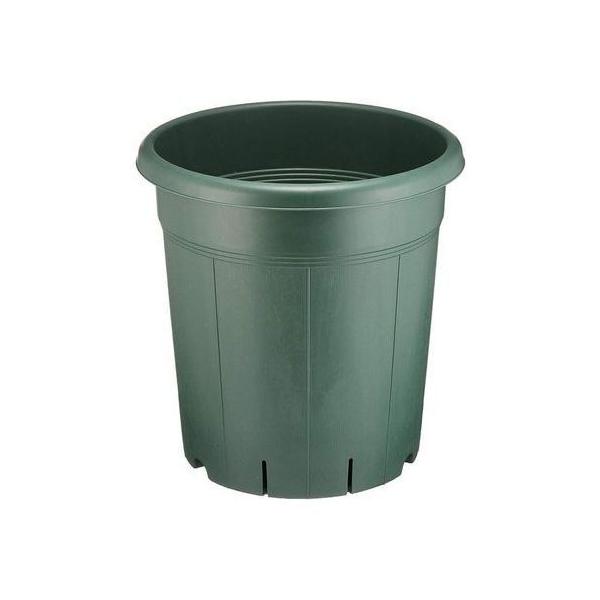 o 10 O[ AbvEFA[ Aؔ v^[ o [YK[f