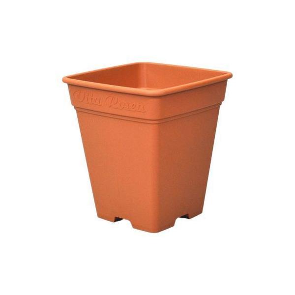 [AXNGA 260^ uE AbvEFA[ [YK[f o Aؔ