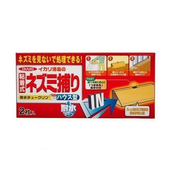 ϐ`[N@nEX^@2@CJŁ@K[fjO@|@ƒ؉@l΍@˂ݑ΍