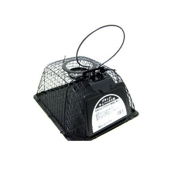 ubNE`[nEX^@Rp@|@K[fjO@ƒ؉@lY~쏜