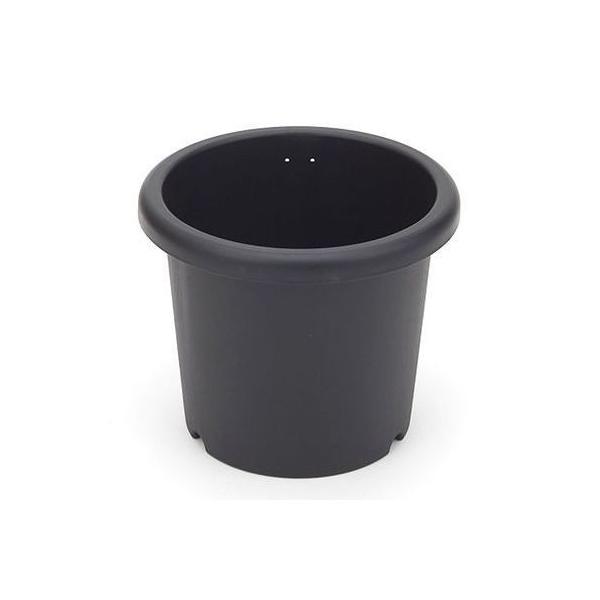 e 7 ubN AKx T{e R[fbNX  ACJ