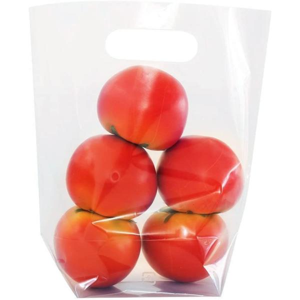 X^hpbN@SP40-3@100@H@ʕ@񂲑